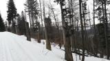 gal/2018/03_Bezky Gerlovka/_thb_20180127_111400.jpg